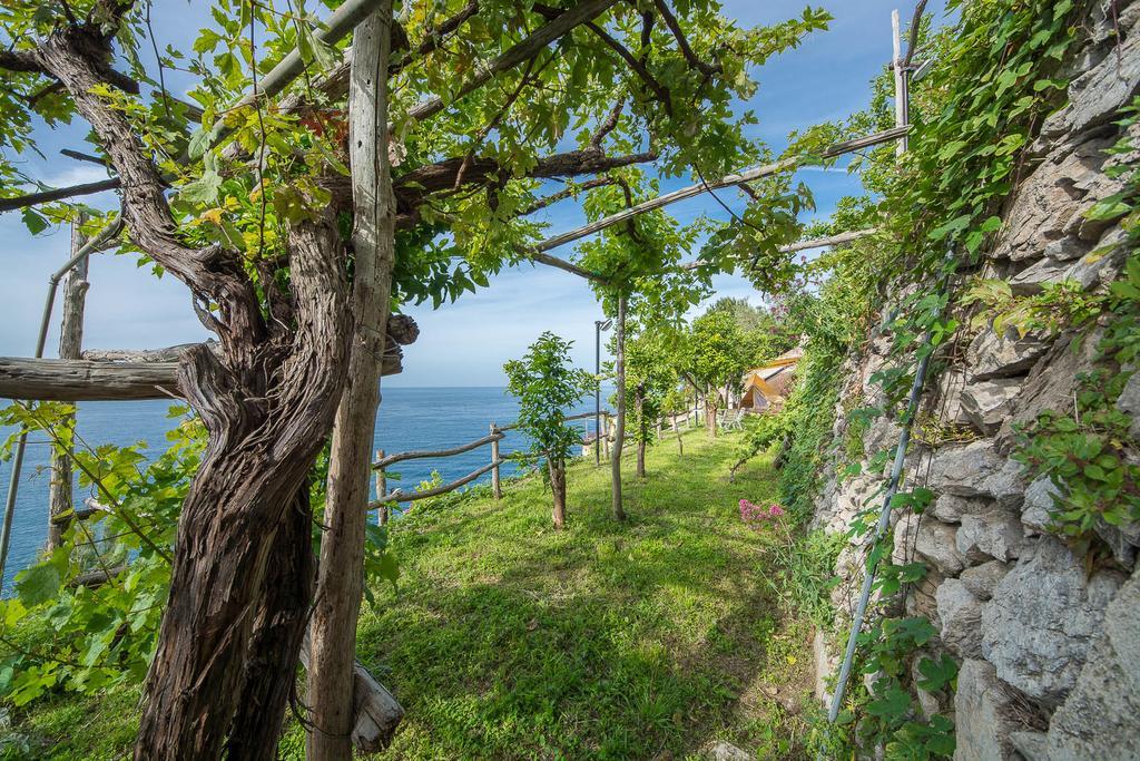 マイオーリ Cannaverde - Amalfi Coast Campヴィラ エクステリア 写真